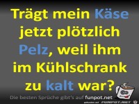 Mein K�se tr�gt Pelz