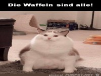 die Waffeln sind alle