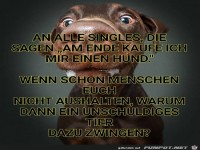 Ich kaufe mir einen Hund