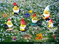 Zwerge in Traubenhyazynthen