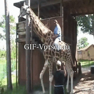 Giraffe-will-keinen-Reiter.gif von Alina