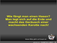 Wie f�ngt man einen Hasen?