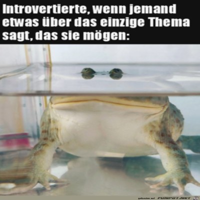 Das-k&ouml;nnte-mich-interessieren.jpg von Mia