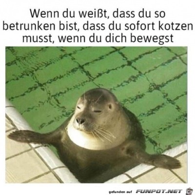 Blo&szlig;-nicht-bewegen.jpg von Marleen