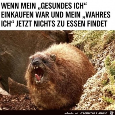 Nichts-zum-Essen-da.jpg von Pina