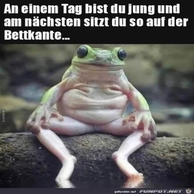 So-ist-das-Leben-eben.jpg von Tilo