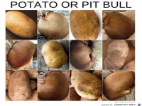 Lustiges R�tselbild