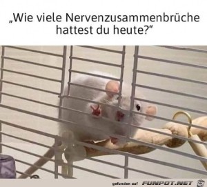 Nervenzusammenbrche.jpg auf www.funpot.net