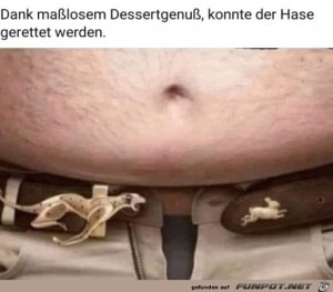 fun-Bild: Hase gerettet