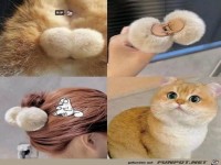 Da w�rde ich auch gro�e Augen machen