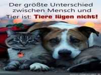 Unterschied Mensch Tier