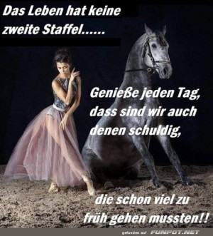 Keine-zweite-Staffel.jpg auf www.funpot.net