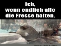Ruhe bitte! Ich bin im Chill-Modus.