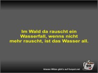 Im Wald da rauscht ein Wasserfall