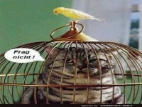 Wie ist das passiert?