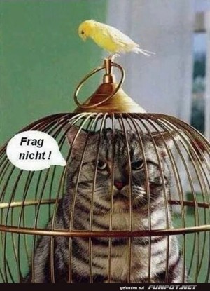 Wie-ist-das-passiert?.jpg auf www.funpot.net