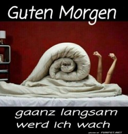 Morgenmuffel-trifft-Bettmonster.jpg auf www.funpot.net