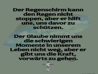 der Regenschirm kann den regen