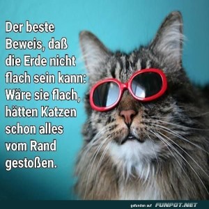 Katzenlogik:-Die-Erde-kann-nicht-flach-sein!.jpg von Josie-96