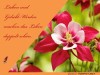 weiter