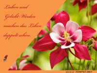 Lieben und geliebt werden