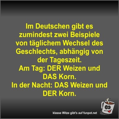 Im-Deutschen-gibt-es-zumindest-zwei-Beispiele-von-t&auml;glichem.jpg von Fossy