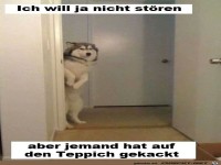 ich will ja nicht st�ren