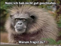 nicht gut geschlafen