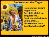 Die Weisheit des Tages