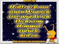 Haette ich nur einen Wunsch