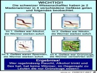 Ergebnis einer Schweizer Wrmer-Studie