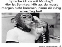 Spreche ich da mit Montag