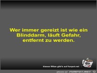 Wer immer gereizt ist wie ein Blinddarm