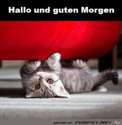Hallo.jpg auf www.funpot.net