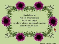 Das Leben ist wie ein