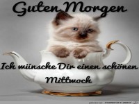 Guten Morgen Mittwoch