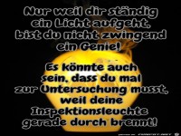 Durchgebranntes Genie