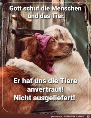 Man-hat-uns-die-Tiere-anvertraut.jpg auf www.funpot.net