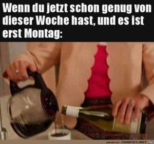 Wenn-du-am-Montag-schon-genug-hast.jpg auf www.funpot.net