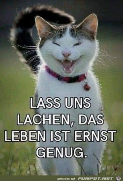 Lasst-uns-lachen.jpg auf www.funpot.net