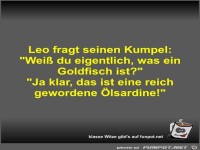 Leo fragt seinen Kumpel