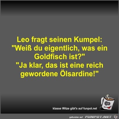 Leo-fragt-seinen-Kumpel.jpg von Fossy