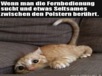 Was liegt in der Sofaritze?