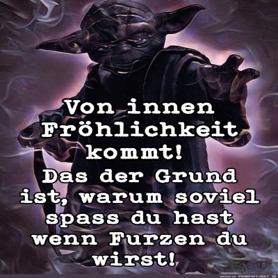 Yoda's-Weisheit-#5.jpg von Bonobo666