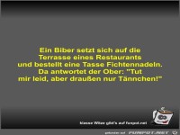 Ein Biber setzt sich auf die Terrasse eines Restaurants und