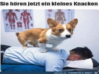 Jetzt h�rt man gleich ein kleines Knacken