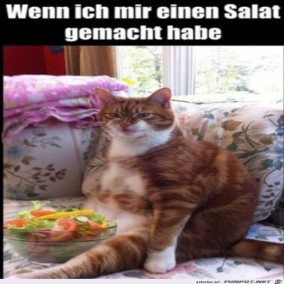 Warum-hab-ich-das-gemacht?.jpg von Finnja