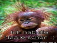 Ich hab die Haare schön