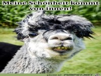 Meine Schönheit