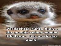 Verd�chtig ruhig hier